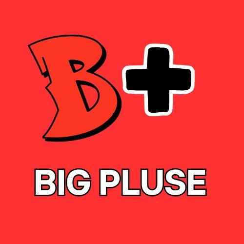 bigpluse.com