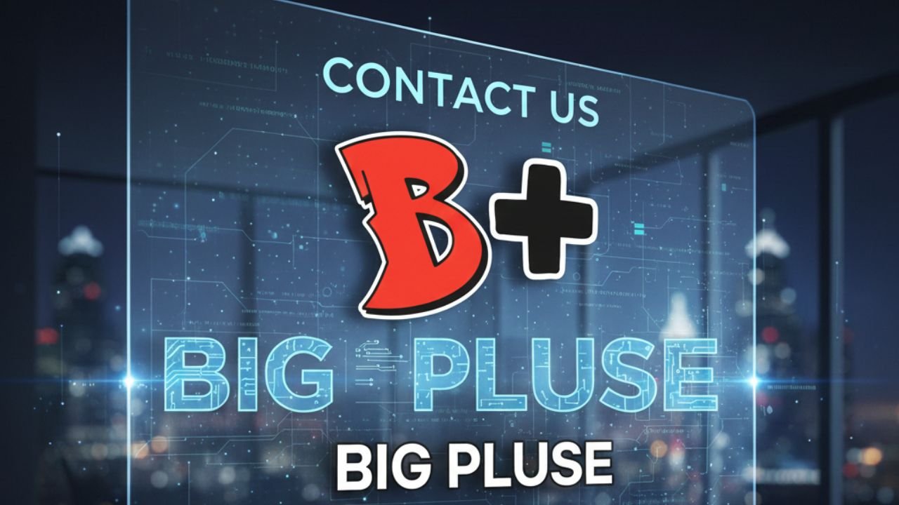 Big Pluse Contact us