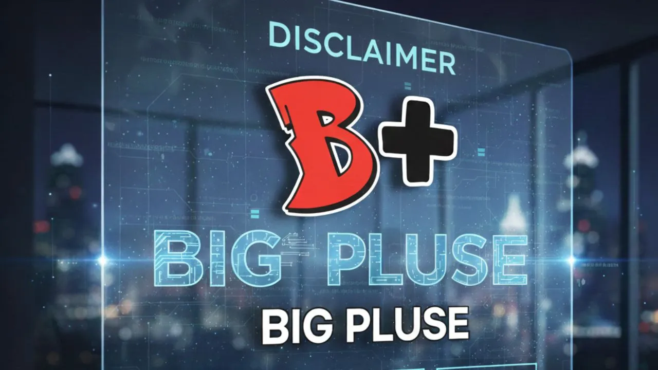 Big Pluse Disclaimer