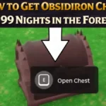 Obsidiron Chest/ Bigpluse