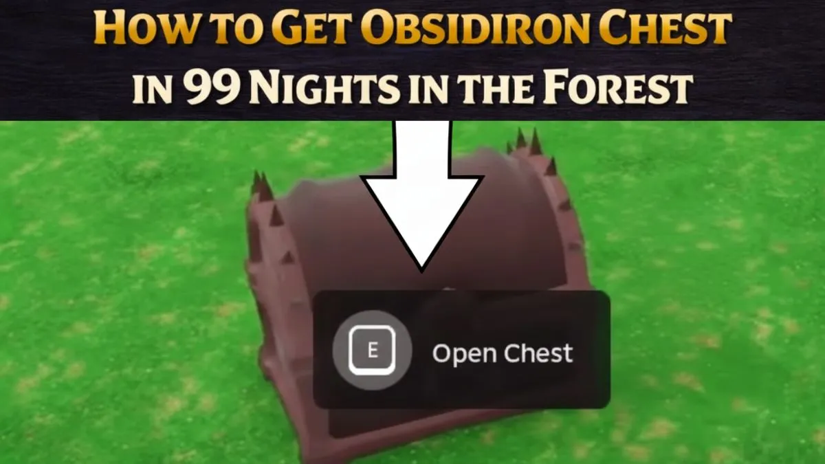 Obsidiron Chest/ Bigpluse